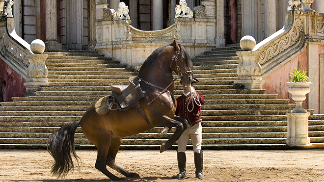Arte Equestre Portugusa
