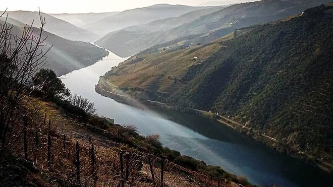 Douro With Soul
Foto: Douro With Soul