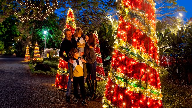 Festas de Fim do Ano - Madeira