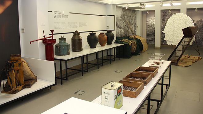 Museu da Oliveira e do Azeite
Luogo: Mirandela