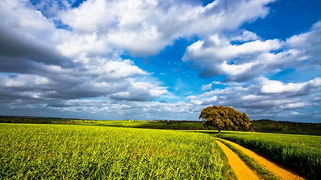 InViagens_Alentejo
Place: Lisboa
Photo: InViagens