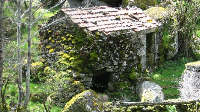 Mo de Vida
Место: Sabugueiro
Фотография: Mo de Vida