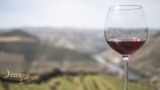 Douro First
Local: Vila Real
Foto: Douro First