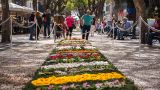 Festa da Flor
Lugar Funchal
Foto: AP Madeira
