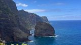 Into The Wild Madeira