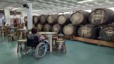 Madeira Acessivel By Wheelchair
Photo: Madeira Acessivel By Wheelchair