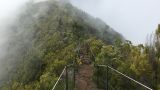 Madeira Wonder Hikes
写真: Madeira Wonder Hikes