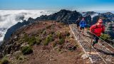 Madeira Trail Tours
Ort: Camâra de Lobos / Madeira
Foto: Madeira Trail Tours