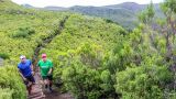 Madeira Trail Tours
Ort: Camâra de Lobos / Madeira
Foto: Madeira Trail Tours