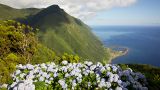 Melo Travel_Negra and Comprida Lakes - Flores Island
写真: Melo Travel DMC