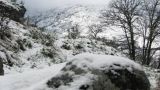 Mo de Vida
Место: Sabugueiro
Фотография: Mo de Vida
