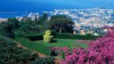 Monte
Place: Funchal
Photo: Turismo da Madeira