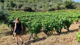 Quinta da Vineadouro
写真: Quinta da Vineadouro