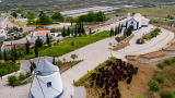 Revelim de Santo António
Place: Castro Marim
Photo: CM Castro Marim