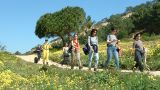 SAL Sistemas de Ar Livre
Место: Setúbal
Фотография: SAL Sistemas de Ar Livre