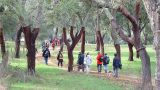 SAL Sistemas de Ar Livre
Место: Setúbal
Фотография: SAL Sistemas de Ar Livre