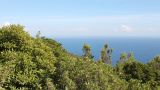 Movie Tour by Salamaleques
Plaats: Sesimbra
Foto: Movie Tour by Salamaleques
