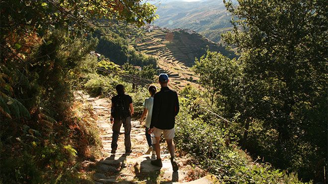 Portugal Green Walks
地方: Braga
照片: Portugal Green Walks