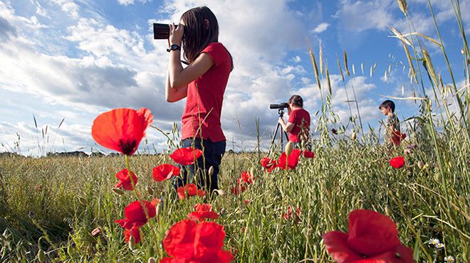 Bétula Tours
Место: Bragança
Фотография: Bétula Tours