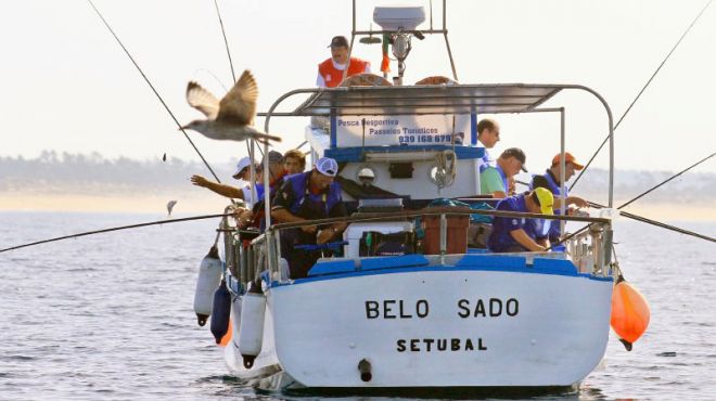 Belo Sado
Plaats: Setúbal
Foto: Belo Sado Belo Sado
Plaats: Setúbal
Foto: Belo Sado