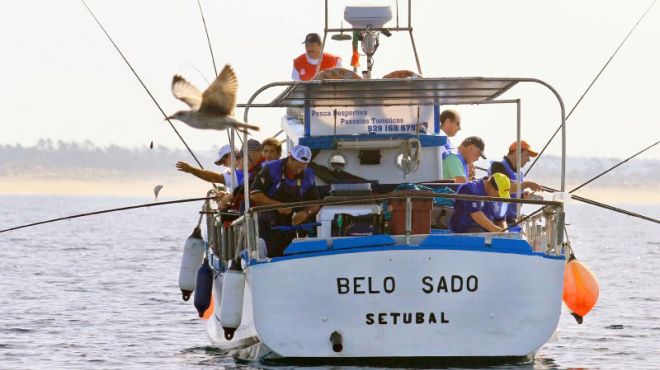 Belo Sado
地方: Setúbal
照片: Belo Sado