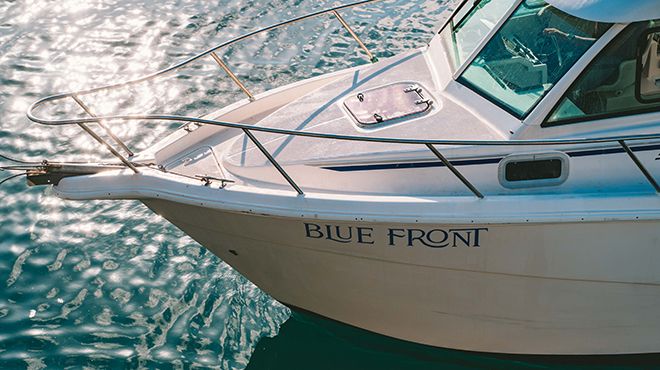 Blue Front
写真: Blue Front