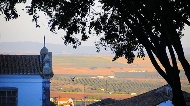 Sé Catedral de Beja
Local: Beja