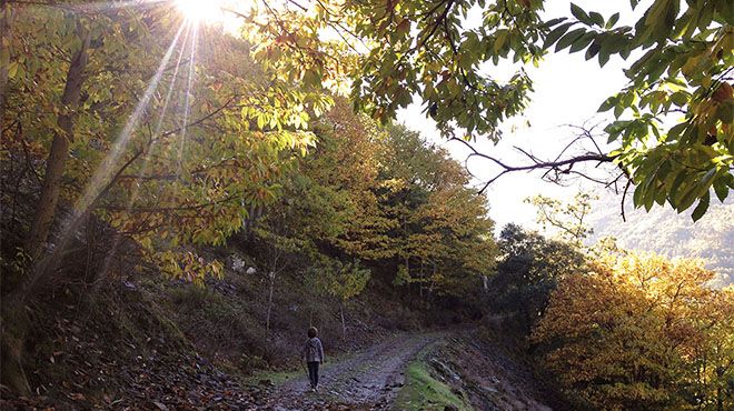 Casa Cerro da Correia
場所: Manteigas
写真: Casa Cerro da Correia