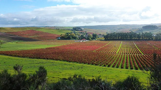 Centro de Turismo do Oeste
Plaats: Torres Vedras
Foto: Centro de Turismo do Oeste