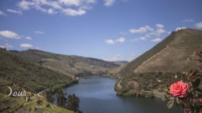 Douro First
場所: Vila Real
写真: Douro First