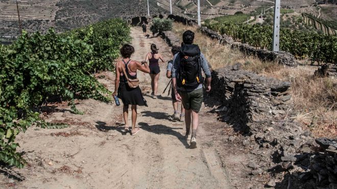 Douro walks
写真: Douro walks