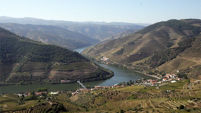 Douro Exclusive
場所: Vila Real
写真: Douro Exclusive