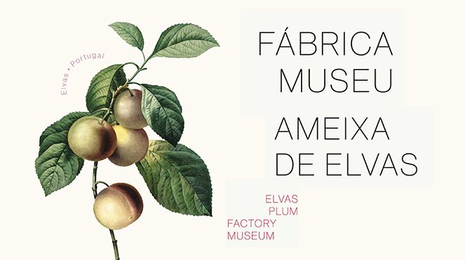 Fábrica-Museu Ameixas de Elvas
Local: Elvas