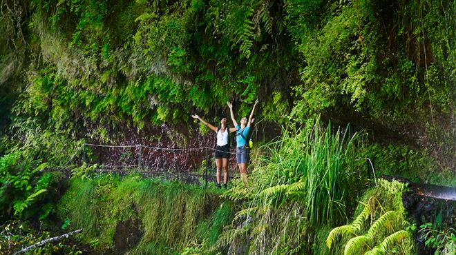 Festival da Natureza