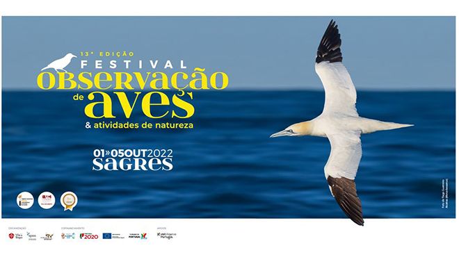 Festival Observação Aves Sagres 2022