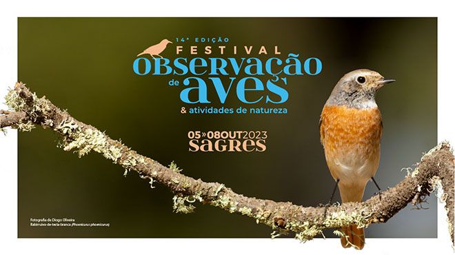 Festival Observação de Aves - Sagres 2023