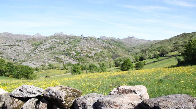 Go2Nature
Place: Ponte da Barca
Photo: Go2Nature