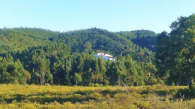 Herdade Quinta  Natura
Место: aljezur
Фотография: Herdade Quinta  Natura