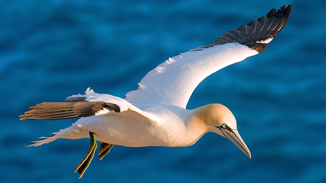 Hop in Hop off Islands
Ort: Faro
Foto: Hop in Hop off Islands Hop in Hop off Islands
Ort: Faro
Foto: Hop in Hop off Islands
