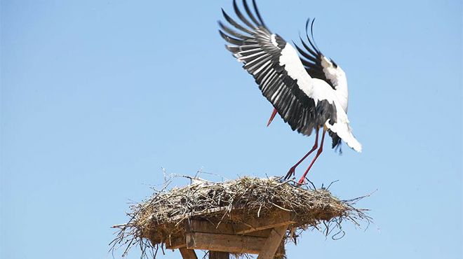 KonzepTours
写真: KonzepTours KonzepTours
写真: KonzepTours