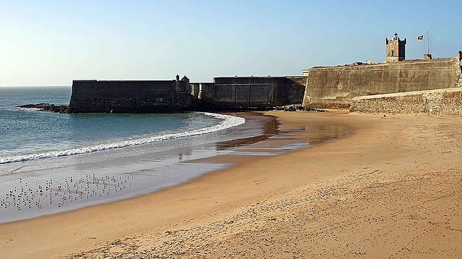 Coastal Rowing in Portugal