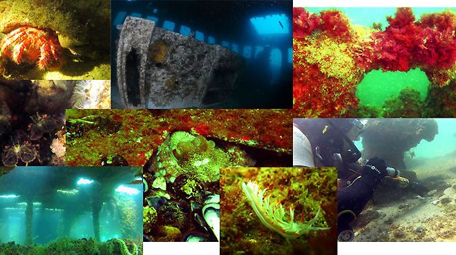 LakaLaka Diving
Place: Lagos
Photo: LakaLaka Diving LakaLaka Diving
Place: Lagos
Photo: LakaLaka Diving