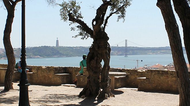Lisbon Steps
Plaats: Lisboa
Foto: Lisbon Steps