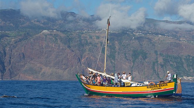 Lobosonda - Madeira whale watching
Plaats: Calheta
Foto: Lobosonda - Madeira whale watching