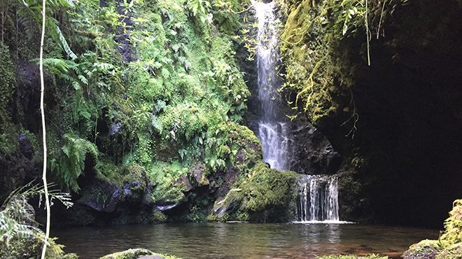 Madeira Wonder Hikes
Foto: Madeira Wonder Hikes