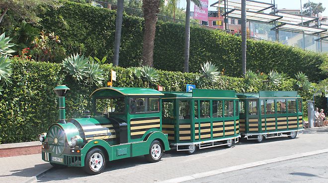 Madeira Green Train 