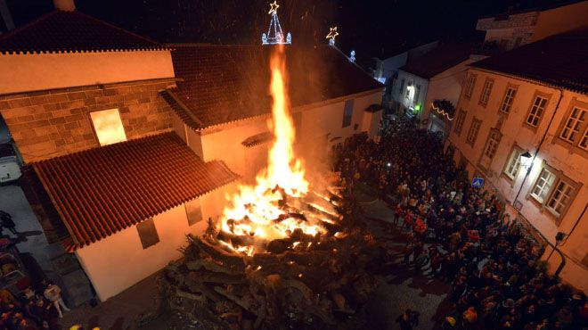 Madeiro de Natal
Фотография: CM-Penamacor