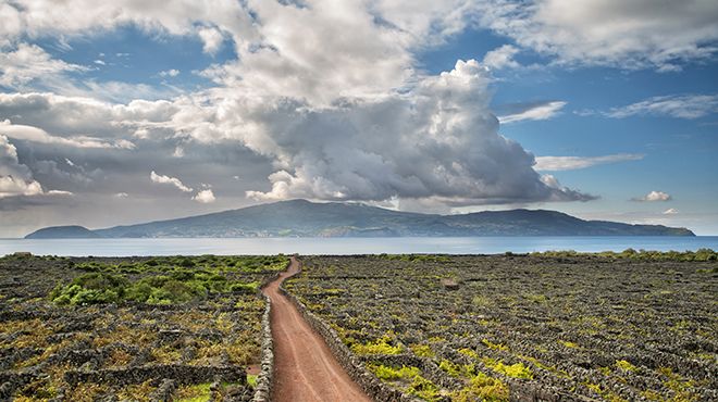 Melo Travel_Criação Velha - Pico Island
照片: Melo Travel DMC Melo Travel_Criação Velha - Pico Island
照片: Melo Travel DMC
