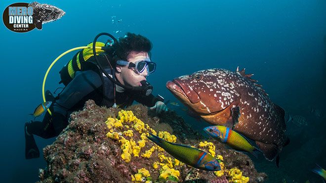 Mero Diving Center
場所: Madeira
写真: Mero Diving Center