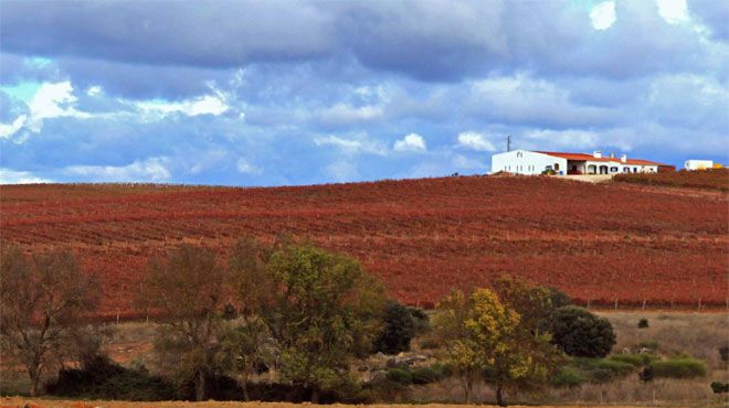 Monte Herdade Penedo Gordo
Plaats: Borba
Foto: Monte Herdade Penedo Gordo